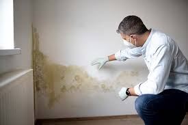 Best Environmental Consulting for Mold Prevention  in Deep River Center, CT